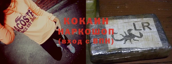 гидра Богородицк