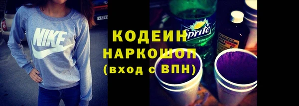 хмурый Верея
