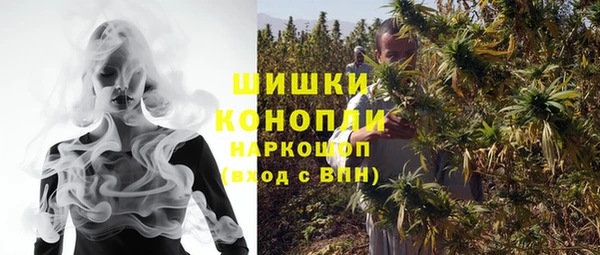 дмт Бородино