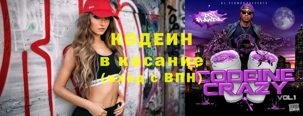 хмурый Верея