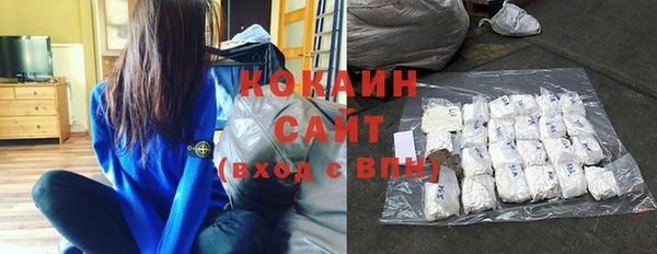 хмурый Верея