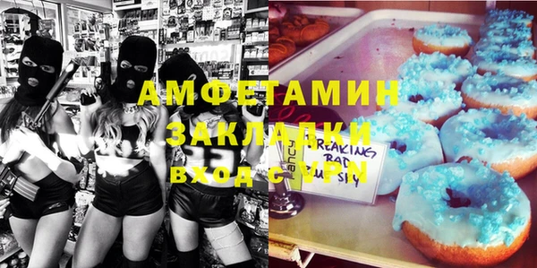 дмт Бородино